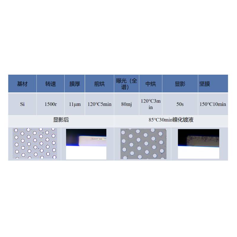 耐化镀用负胶YS-N9011